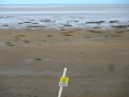 /album/southport/southport-1-strongest-impression-jpg/